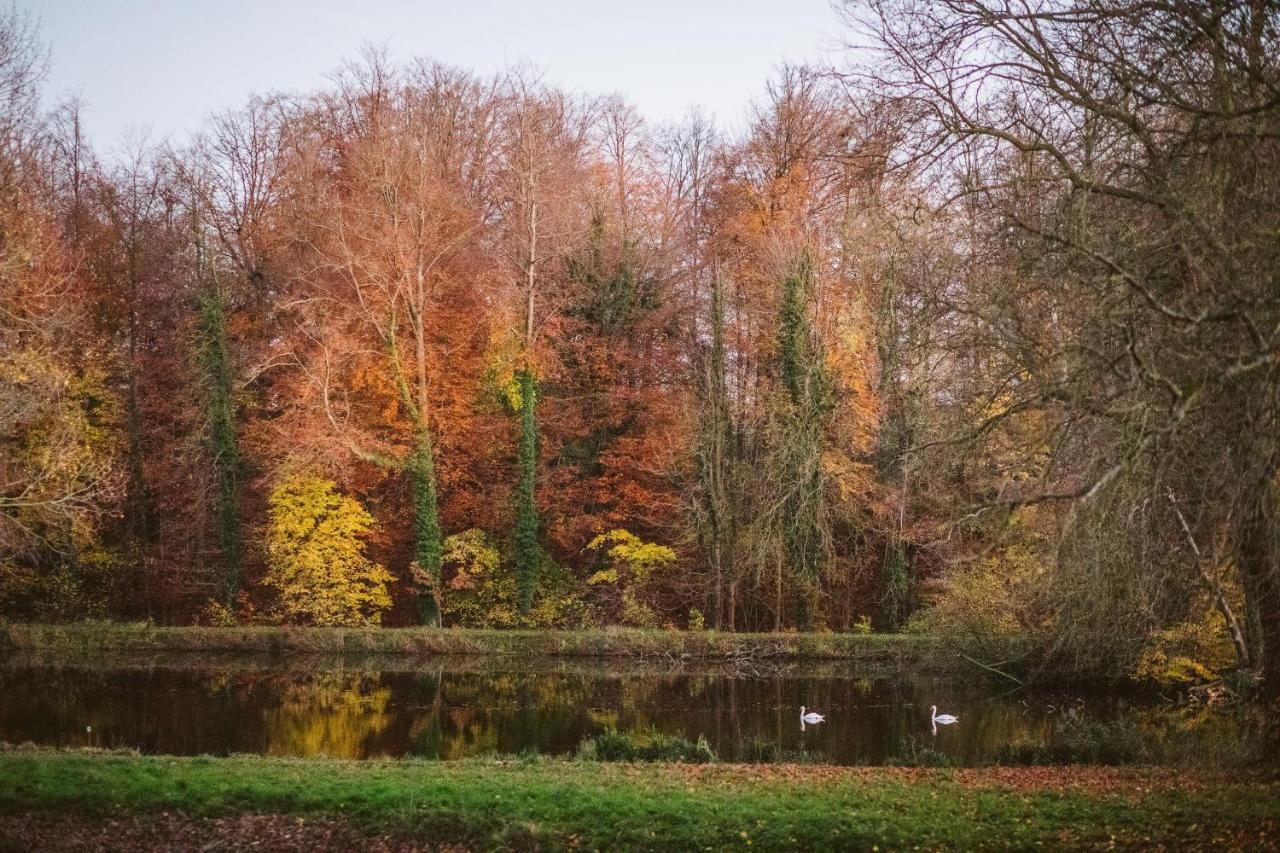 B&B Park7 Wavre - Leuven Huldenberg ภายนอก รูปภาพ